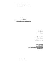 Referāts 'Līzings', 1.