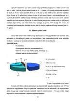 Referāts 'Līzings', 25.