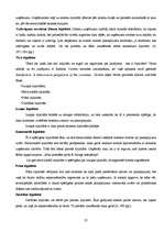 Referāts 'Līzings', 27.