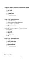 Referāts 'Līzings', 33.