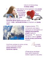 Konspekts 'Gāzveida oksīdu ietekme uz cilvēka organismu', 2.