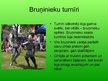 Prezentācija 'Bruņinieki', 6.