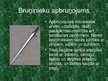 Prezentācija 'Bruņinieki', 7.
