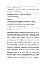 Referāts 'Kredītu apdrošināšana', 23.