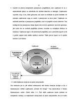Diplomdarbs 'Finanšu ārpakalpojumi Latvijā', 20.