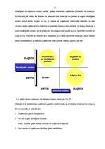 Diplomdarbs 'Finanšu ārpakalpojumi Latvijā', 21.