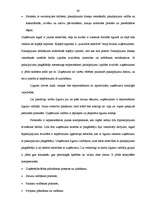 Diplomdarbs 'Finanšu ārpakalpojumi Latvijā', 40.