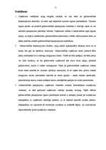 Diplomdarbs 'Finanšu ārpakalpojumi Latvijā', 71.