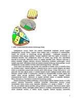 Referāts 'Lauksaimniecības noteces ietekme uz vidi', 5.