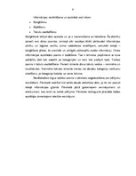 Referāts 'Tirgus vides novērtējums', 9.