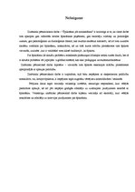 Referāts 'Špikošana', 23.