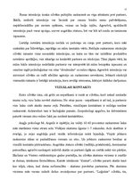 Konspekts 'Saskarsmes pamati', 15.