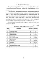 Diplomdarbs 'Noliktavas ēka', 8.