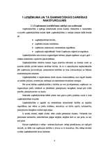 Referāts 'Līzinga darījumu uzskaite un kontrole SIA "LI & KO"', 6.