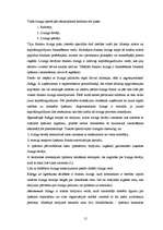 Referāts 'Līzinga darījumu uzskaite un kontrole SIA "LI & KO"', 15.