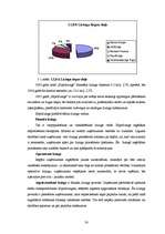 Referāts 'Līzinga darījumu uzskaite un kontrole SIA "LI & KO"', 30.