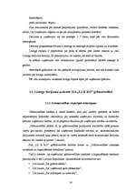 Referāts 'Līzinga darījumu uzskaite un kontrole SIA "LI & KO"', 34.