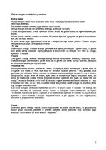 Referāts 'Tradicionālie maizes ēdieni', 7.