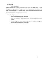 Diplomdarbs 'Veselīga uztura apguves iespējas sākumskolā', 27.