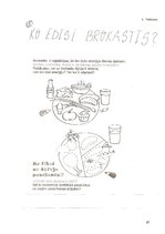 Diplomdarbs 'Veselīga uztura apguves iespējas sākumskolā', 46.