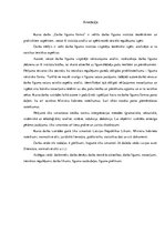 Referāts 'Darba līguma forma', 1.