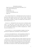 Referāts 'Kuņģa vēzis', 5.