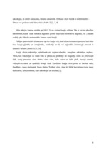 Referāts 'Kuņģa vēzis', 6.