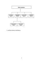 Referāts 'Riska klasifikācija', 4.