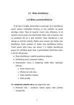 Referāts 'Riska klasifikācija', 5.