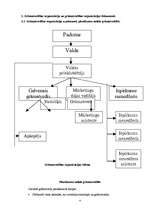 Prakses atskaite 'Grāmatvedības paņēmienu pielietojums', 4.