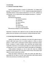 Prakses atskaite 'Grāmatvedības paņēmienu pielietojums', 21.