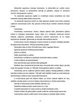 Prakses atskaite 'Grāmatvedības paņēmienu pielietojums', 23.