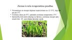 Prezentācija 'Temperatūras un mitruma ietekme uz ziemas kviešu ražu un kvalitāti', 2.
