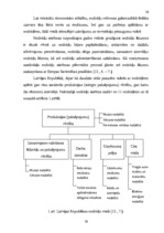 Diplomdarbs 'Nodokļu kontroles veidi, to tiesiskais regulējums', 10.