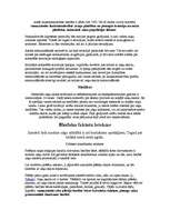 Referāts 'Pelēkais zaķis', 5.