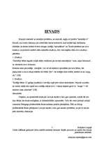 Referāts 'Pedagoģiskā darbība un pedagoga darbības plānošanas nosacījumi vidusskolā', 3.