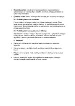 Eseja 'Vielmaiņa – organisma ķīmisko procesu pārskats', 4.