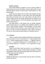 Diplomdarbs 'Ķīmisko riska faktoru izpēte Latvijas kokapstrādes uzņēmumos', 15.