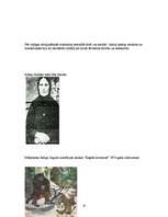 Referāts 'Kārlis Skalbe', 10.