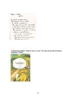 Referāts 'Kārlis Skalbe', 14.