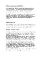 Konspekts 'Cīņa par Latvijas neatkarību. 1918.-1920.gads', 3.