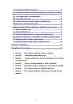 Prakses atskaite 'SIA "X" prakses atskaite', 3.