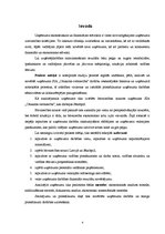 Prakses atskaite 'SIA "X" prakses atskaite', 4.