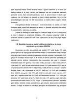 Prakses atskaite 'SIA "X" prakses atskaite', 12.