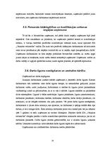 Prakses atskaite 'SIA "X" prakses atskaite', 29.