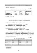 Prakses atskaite 'SIA "X" prakses atskaite', 47.