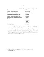 Prakses atskaite 'Bērnu un jauniešu centrs "Daugmale"', 12.