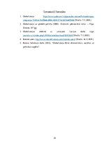 Referāts 'Globalizācijas process kā socializācijas faktors', 10.