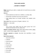 Konspekts 'Sporta svētku scenārijs sākumskolai', 1.