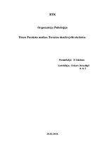 Konspekts 'Parakstu analīze. Terminu skaidrojošā vārdnīca', 1.